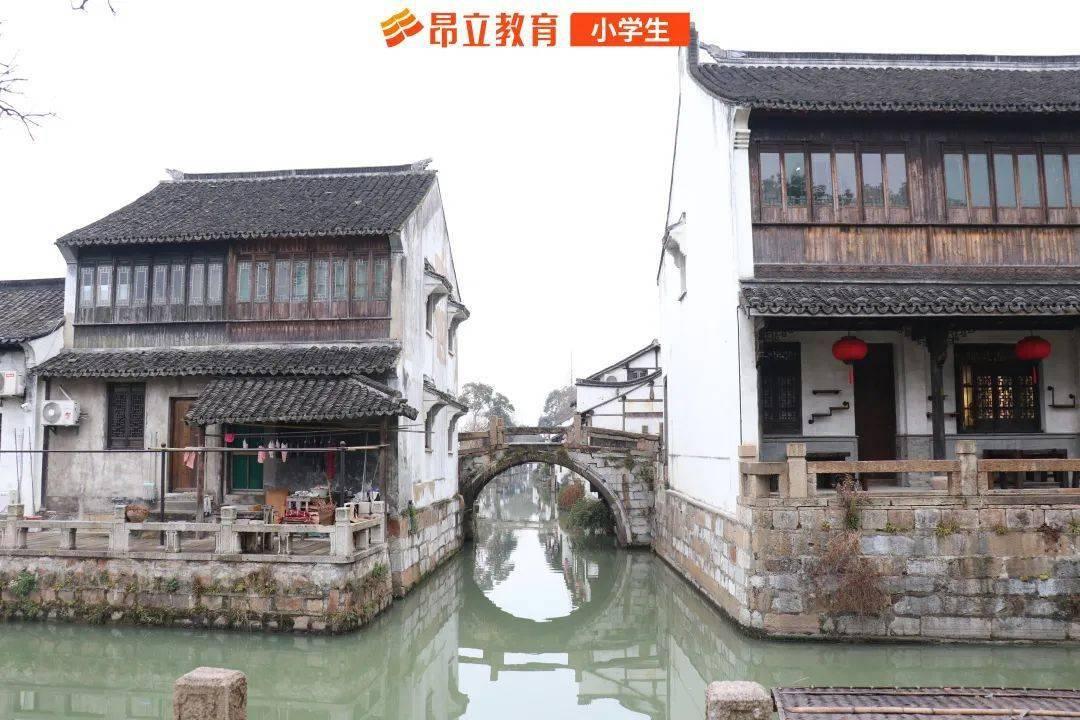 你吃对了吗？眼球震颤患者必备的食物！